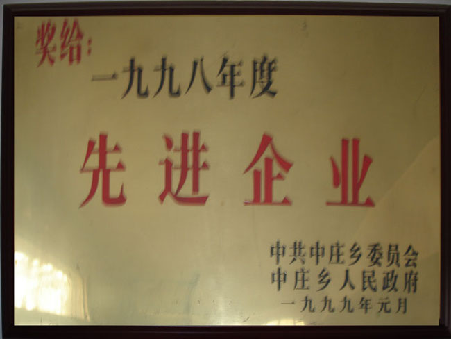 先進(jìn)企業(yè)